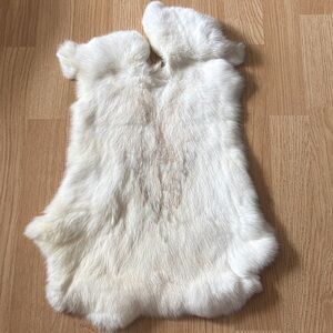 A293 rabbit pelt